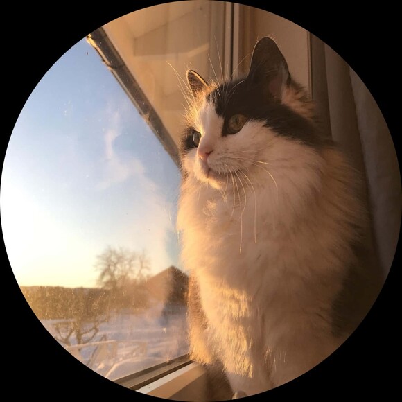 mariemarshal143